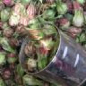 Meet your Posher, Naomi